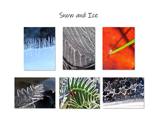 Snow and Ice I Greeting Card Collection by The Poetry of Nature